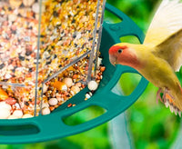 Comedero Colgante para Pájaros con Bandeja Multi-acceso